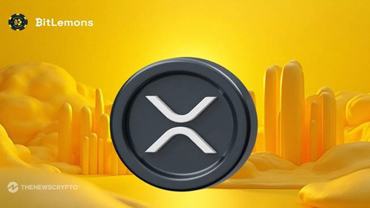 XRP 가격은 $ 21,000, 라이브 TV 스파크 커뮤니티 버즈