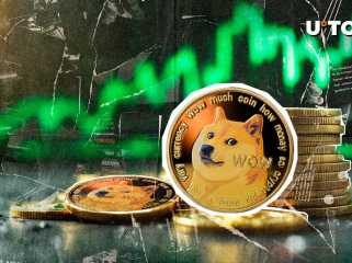 649,331,848 Le plus grand échange de crypto de Dogecoin Stun