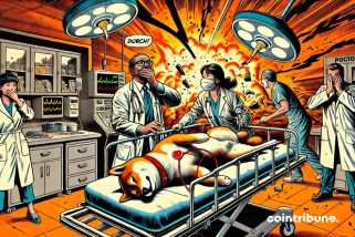 Dogecoin en automne gratuit après la déclaration surprise d'Elon Musk