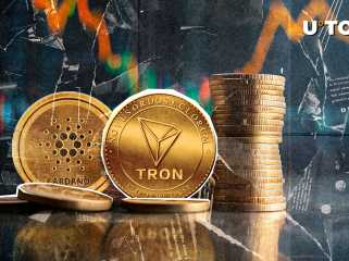 Tron (trx) sur le bord de Cardano