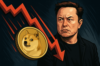 La meilleure crypto-monnaie en baisse maintenant au prix de Dogecoin après la déclaration d'Elon: Nouvelles pièces de mèmes