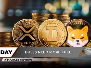 XRP는 중요한 지원 수준에 도달하면 Shiba Inu (Shib)는 연간 가격 기반 인 Dogecoin (Doge)을 위반합니다. 시작 했습니까?