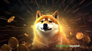 Key Juttions의 Dogecoin