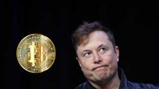 Crypto News aujourd'hui: quand Elon Musk démissionnera-t-il?