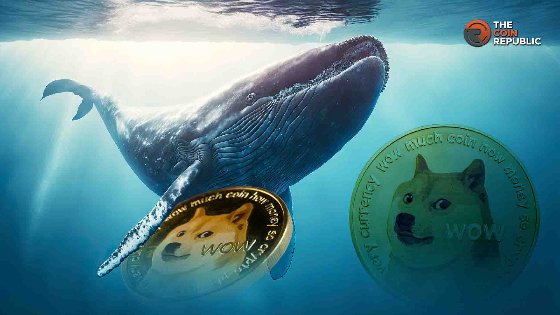 Les baleines Dogecoin accumulent 220 millions: Doge Plang cible 0,6533 $