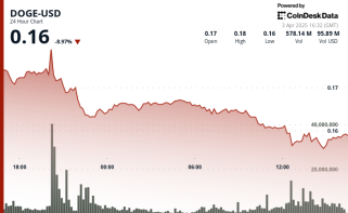 Dogecoin波动激增：从稳定到急剧下降