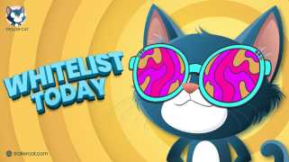 Le regret de sauter le monde du chien? Les chats de Trolling sont peut-être votre prochaine grande histoire de cryptage