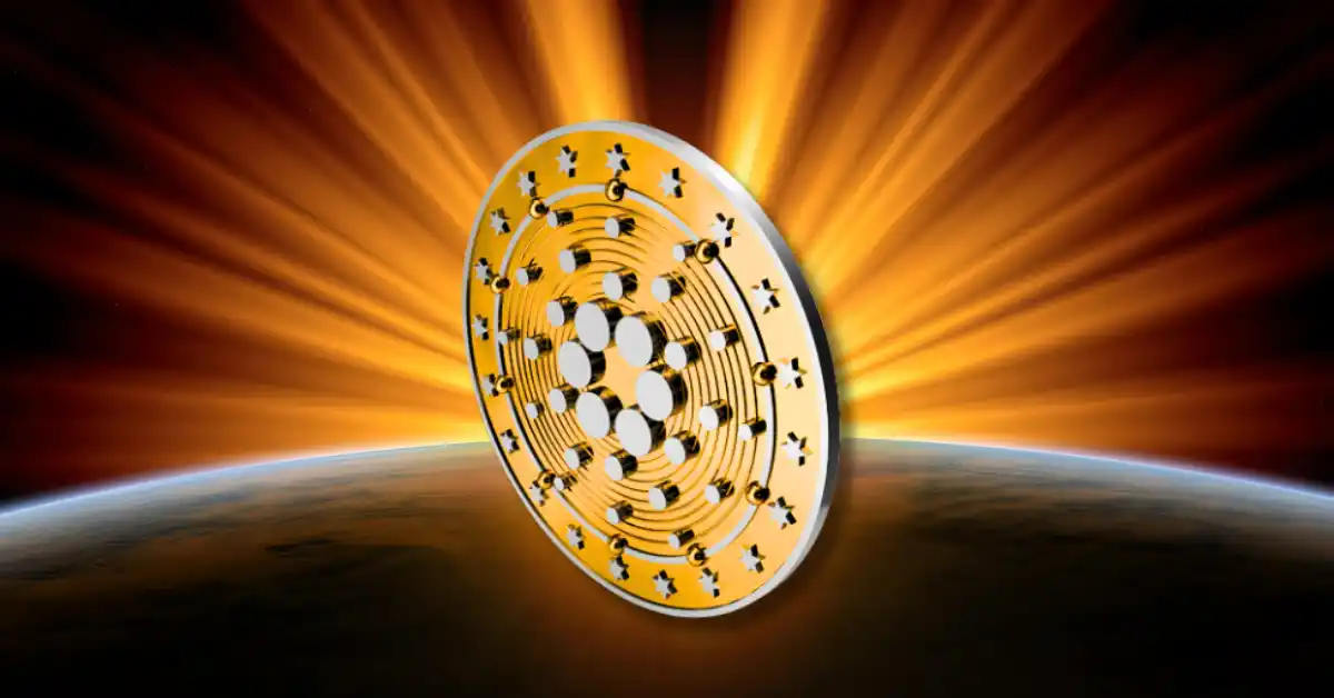 为什么Cardano价格今天下跌？专家预测从这里有30％的崩溃