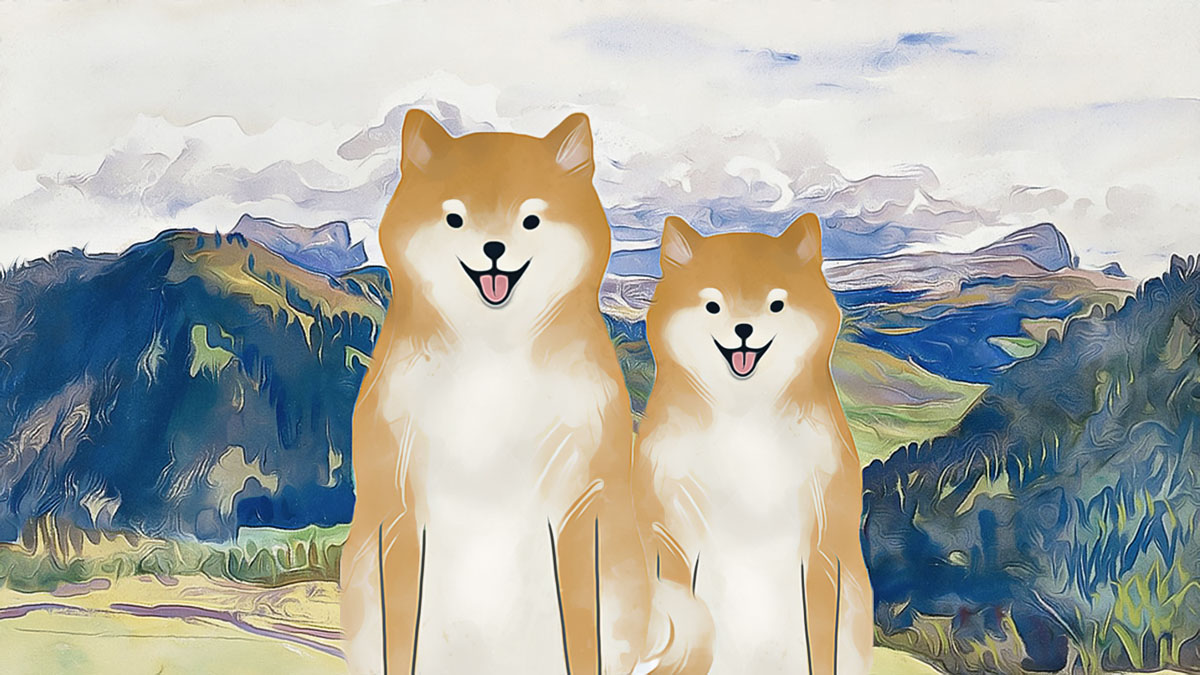 La baisse du prix de Dogecoin se poursuivra-t-elle?