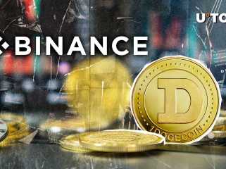 Il y a 300 millions de domycin (doge) sur le bord, car la vente du lundi noir peut être réelle