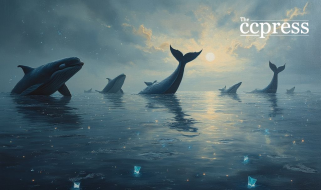 Dogecoin fait face à une baisse de prix de 59% de 59% au milieu de la pression du marché