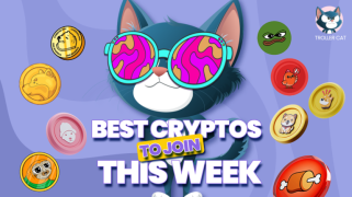 MEME COINS Vous ne devriez pas manquer: de Baby Dogecoin, Ponke et Classic Cat Shake Market