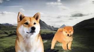 21Shares cherche l'approbation du FNB de Dogecoin