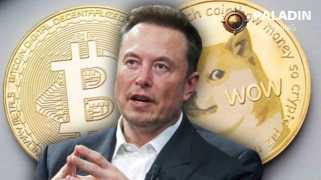 Déverrouillez les mineurs de DoGECOIN avec Bitcoin et gagnez 10 000 $ par jour