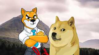 L'excitation du récent rallye de la rallye de Dogecoin