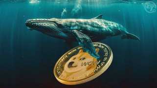 鲸鱼驱动Dogecoin激增：Doge价格会在2025年达到1美元吗？