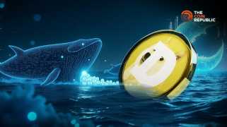 478 millions de domycines sont déplacées par des baleines, une rupture de Doge entrante?