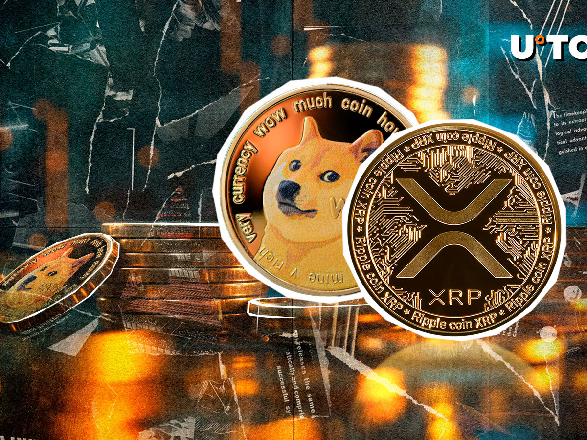 XRP s'écarte de Dogecoin dans une tendance de liquidation 24h / 24