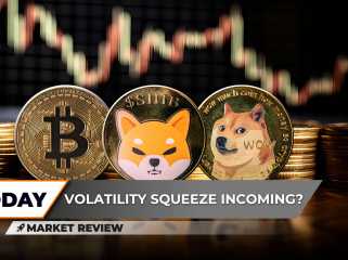 Bitcoin (BTC) est absolument pressé, Shiba Inu (Shib) est proche de zéro, les investisseurs de Dogecoin (DOGE) font fondre