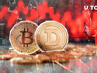 Dogecoin (DOGE) surpasse le bitcoin dans les mesures clés alors que ETF commente la dynamique du carburant