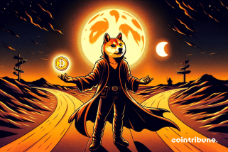 Dogecoin à l'intersection: 2 situations qui peuvent définir son avenir