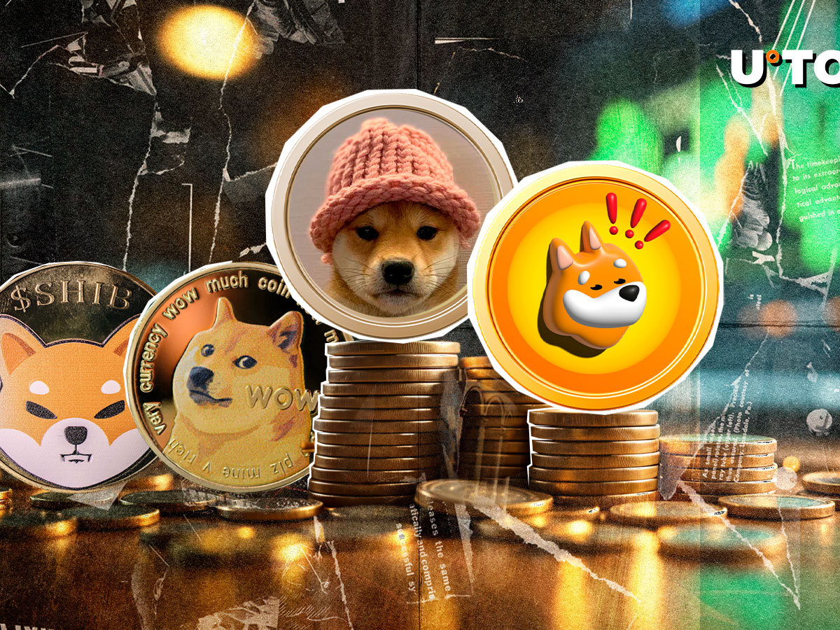 Bonk, wif Beat Shib, Doge's Gains pendant le BTC Boom
