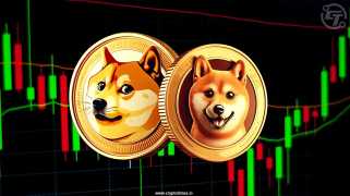 Dogecoin ou Shiba Inu, lequel gagnera le plus la semaine prochaine?