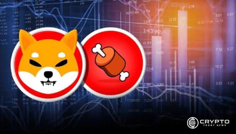 Lucie défend l'équipe et décrit les objectifs futurs