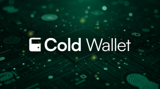 Approbation du FNB de Sol, Doge Eyes 0,25 $, Cold Wallet's Pre-Fee Growth
