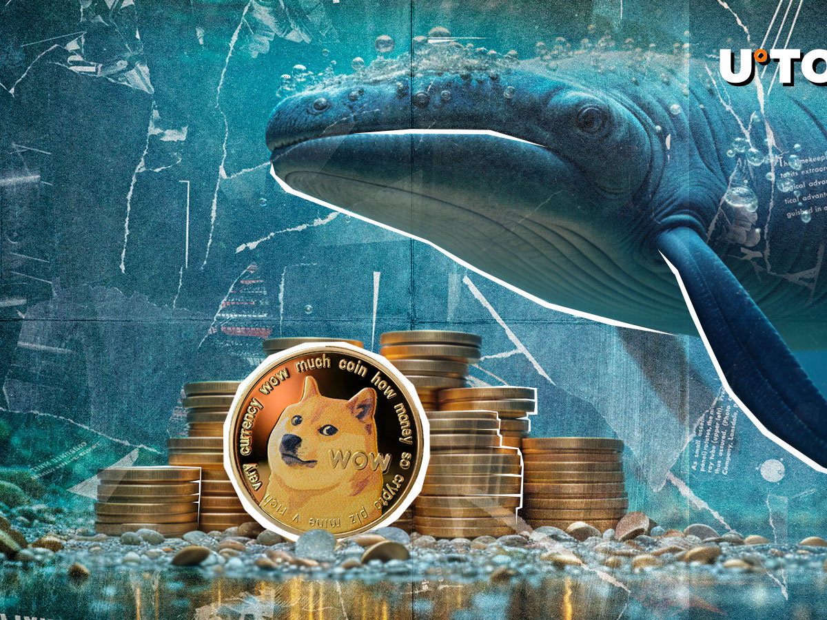 Plus de 100 000 000 qui viennent d'acquérir par les baleines: Dogecoin à la lune?