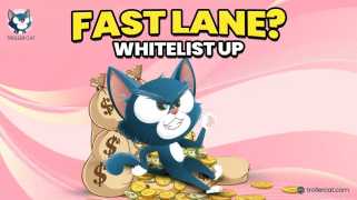 Sauté notcoin? La pré-vente du ROI de 10k% du chat est à quelques heures du lancement - garder les yeux ouverts