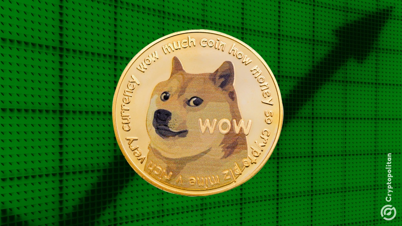 Doge, XRP ETF et Gamble Memecoin Fuel émotionnel Trade optimiste: Santiment Données sociales