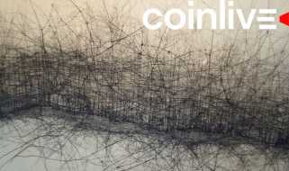 Shibarium über 200 Millionen Brieftaschen lösen Meilenstein