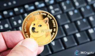 Les transactions de baleines Doge ont gagné 41% car le marché voit une baisse du volume