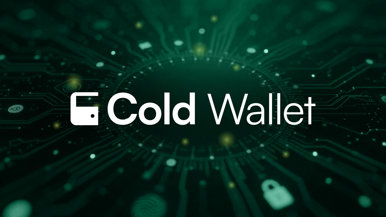 Cold Wallet Leading New Bull Run Utilities Surge in Crypto Era