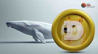 개 가격이 고래에서 5 달러로 상승 했습니까?