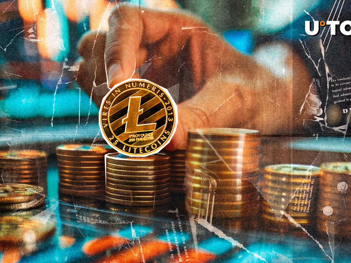 Schlüsseldaten kommen in Litecoin (LTC) -Hülsenanfällen ein