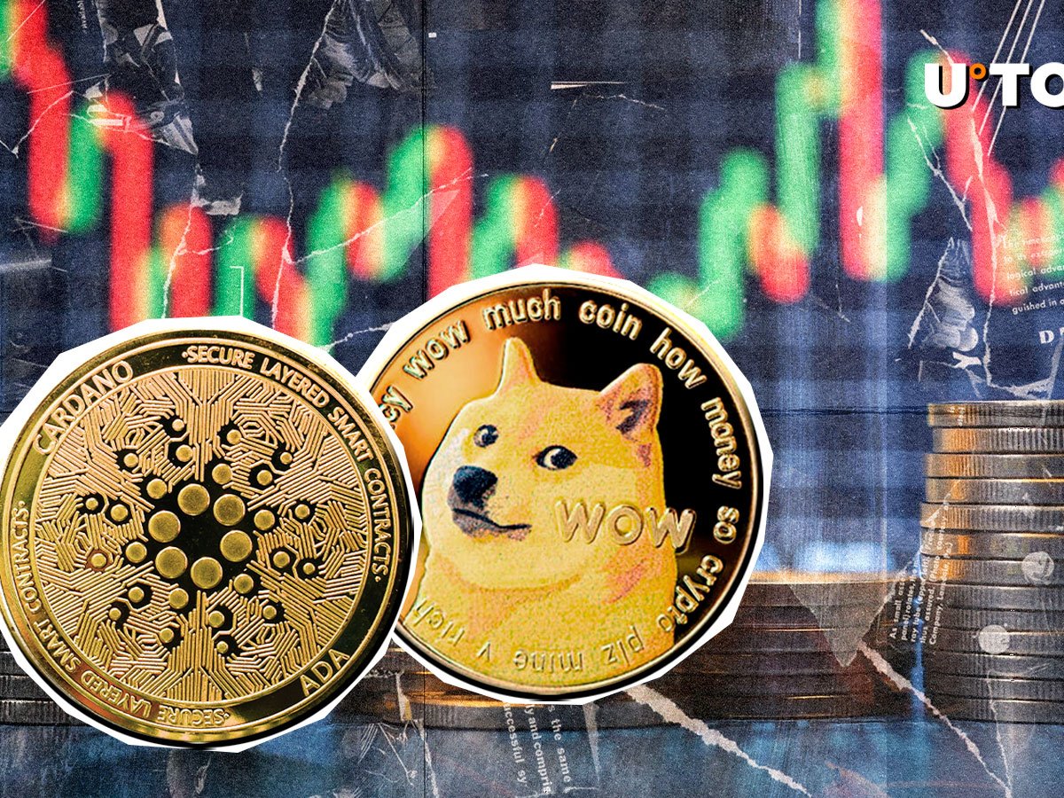 Cardano (Ada) sur le point de battre Dogecoin (Doge) pour 25 milliards de dollars