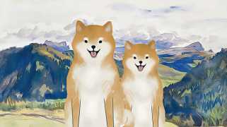 Dogecoin Patterns Predict Bullish Price Surge