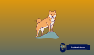 Here’s Why Dogecoin (DOGE) Price Will Hit $0.30 By July – Top Meme Coin to Buy Now?