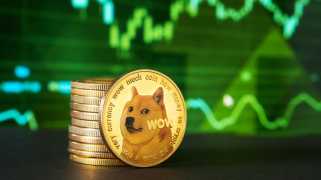 Is Dogecoin Ready to Surge or Set to Slide? Experts Share Conflicting Views