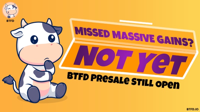 Die Anleger waren fassungslos als BTFD -Spielziel von 6.000 US -Dollar in Höhe von 540.000 US