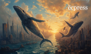 Mit der Umsiedlung von Walen für 148 Millionen US -Dollar