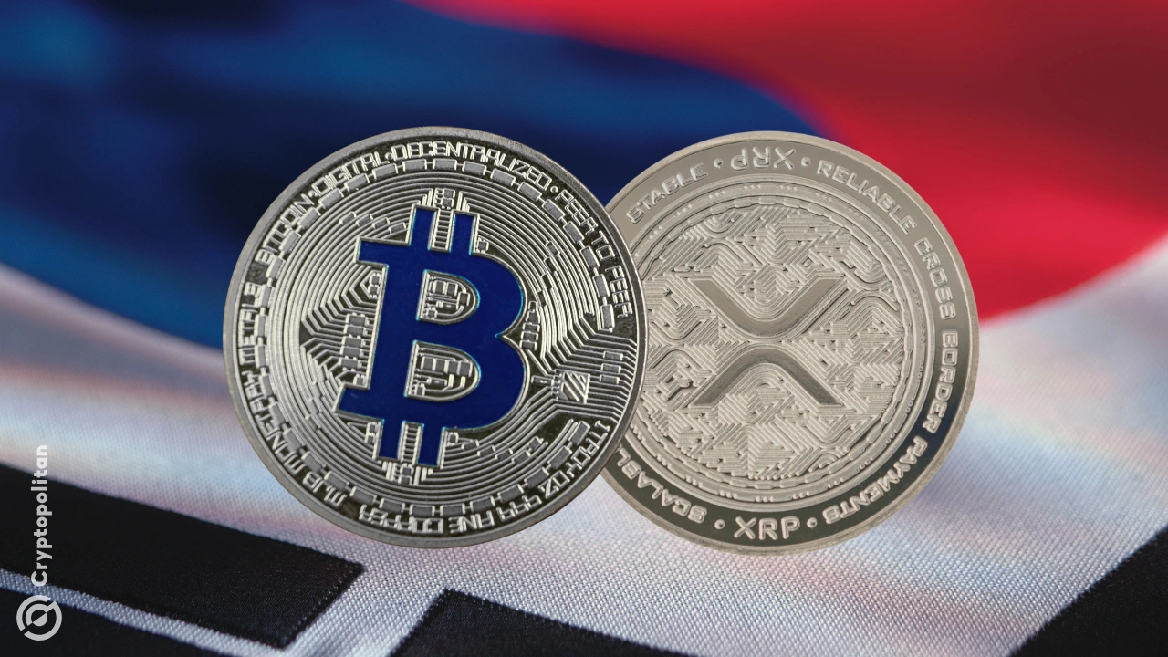 위험 거래 시장 수익률로 XRP, Doge 및 BTC에 큰 베팅 한 한국 암호 화폐 거래자