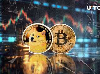 Dogecoin Gains 4% Against Bitcoin, Is Market Momentum Shifting?