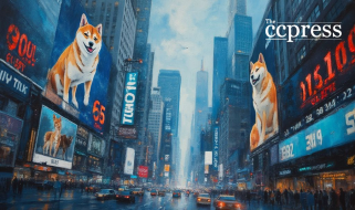 밈 동전과 물티슈는 시장 압력에 직면합니다