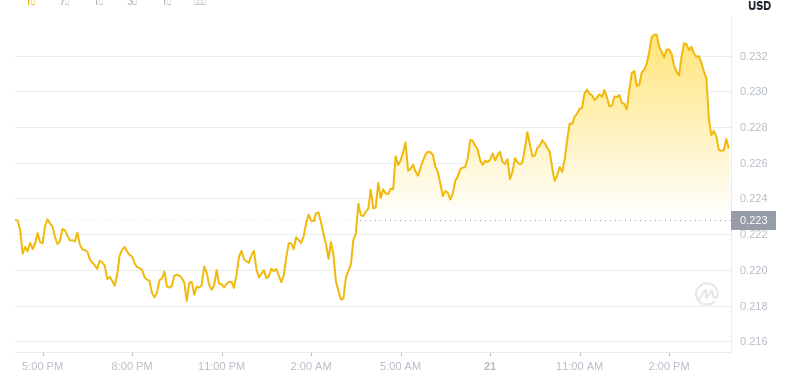 2025 년 5 월 21 일, 16:00 Dogecoin 최신 가격
