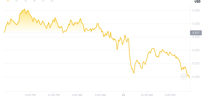 May 25, 2025 at 16:00 Dogecoin latest price
