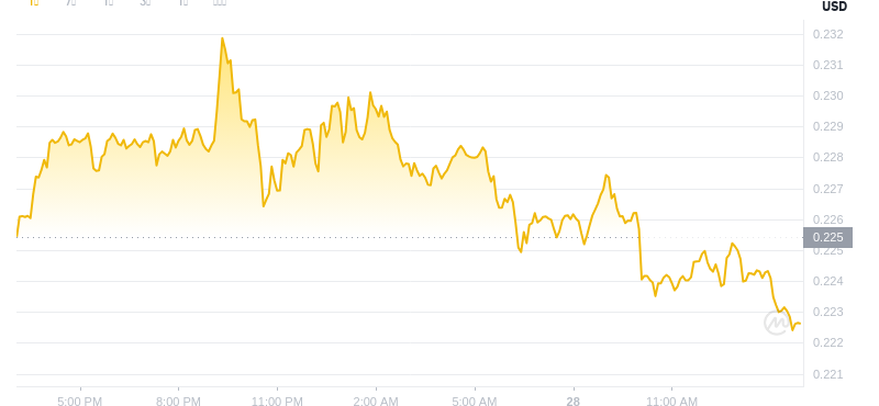 2025 년 5 월 28 일, 15:00 Dogecoin 최신 가격