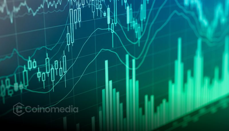 암호화 사이클 2024 미러 2014-2017 모델